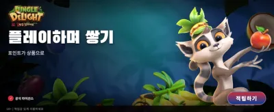 정글 딜라이트의 모험